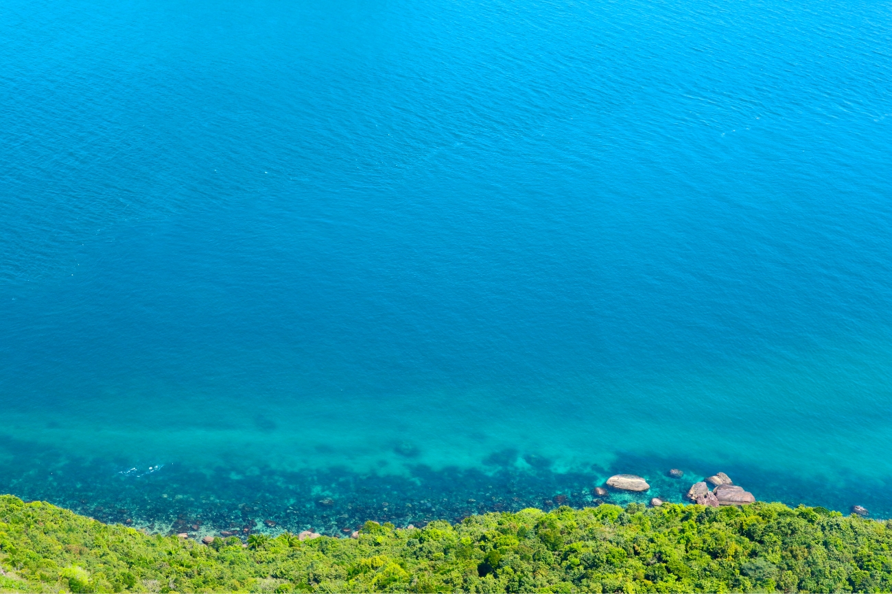 Scent from the Earth